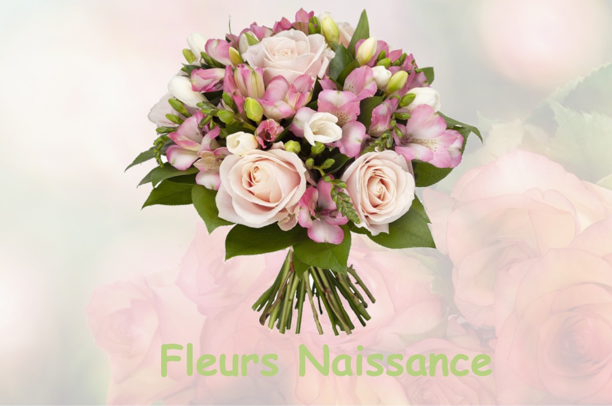 fleurs naissance REMILLY